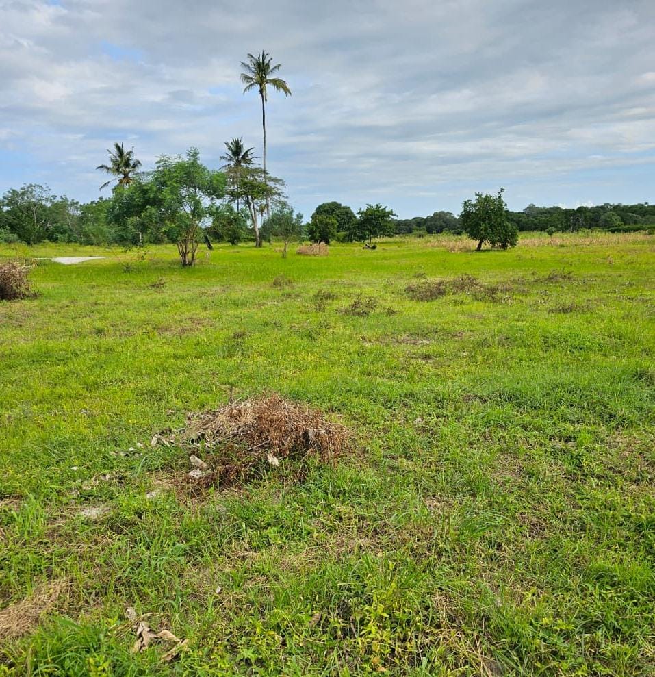 About Mwanzoya Land Shop