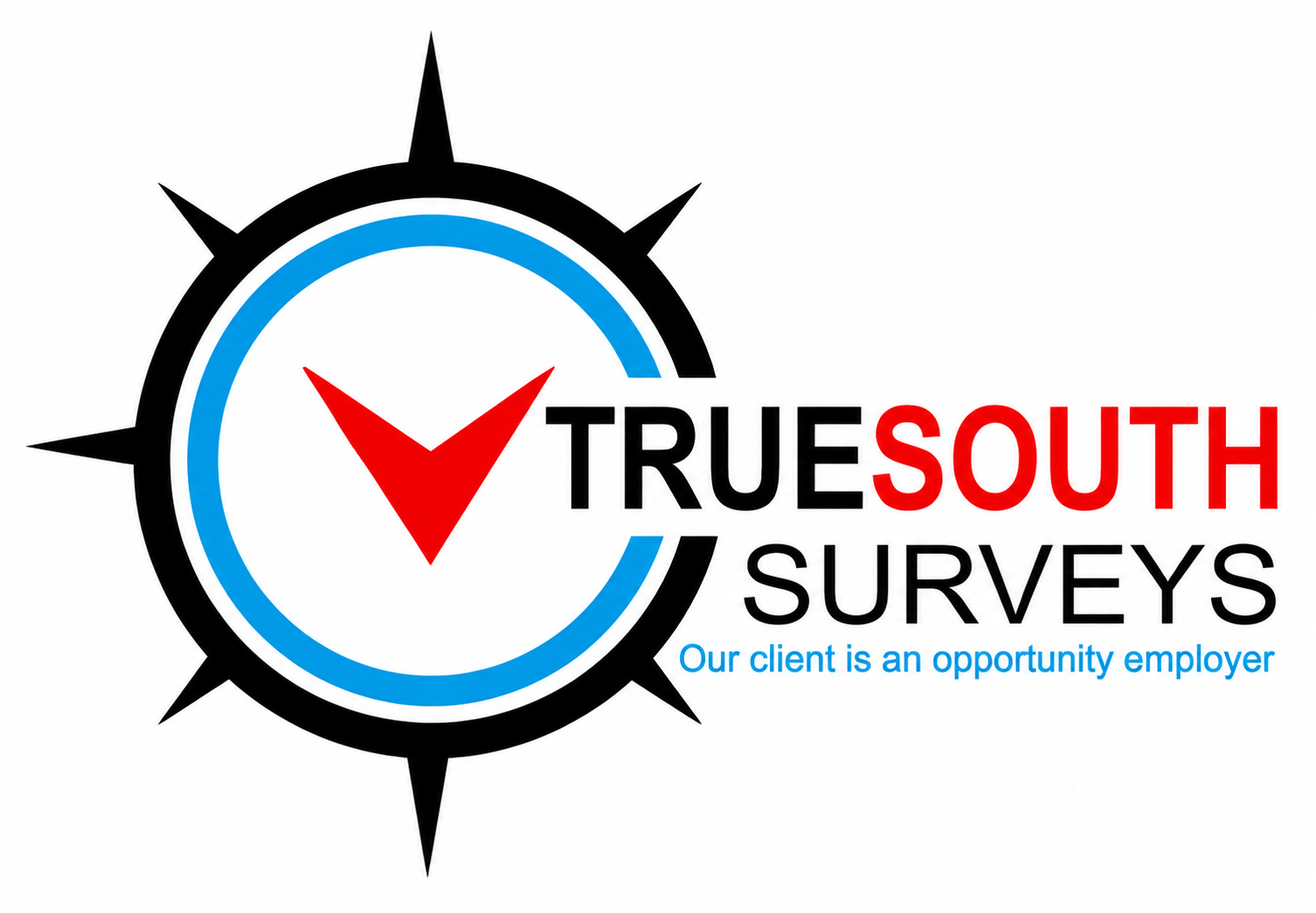 True partner logo